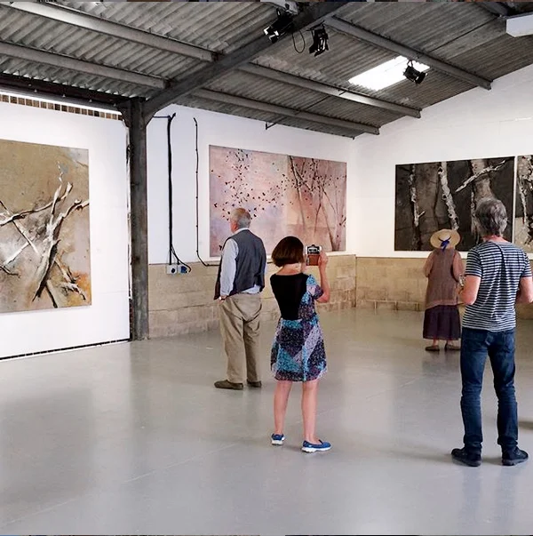 anthony-whishaw_ra_canwood_gallery_exhibition-herefordshire.jpg