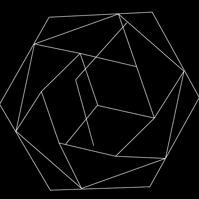 art Sophie Hjerl hexagon_700x700.jpg