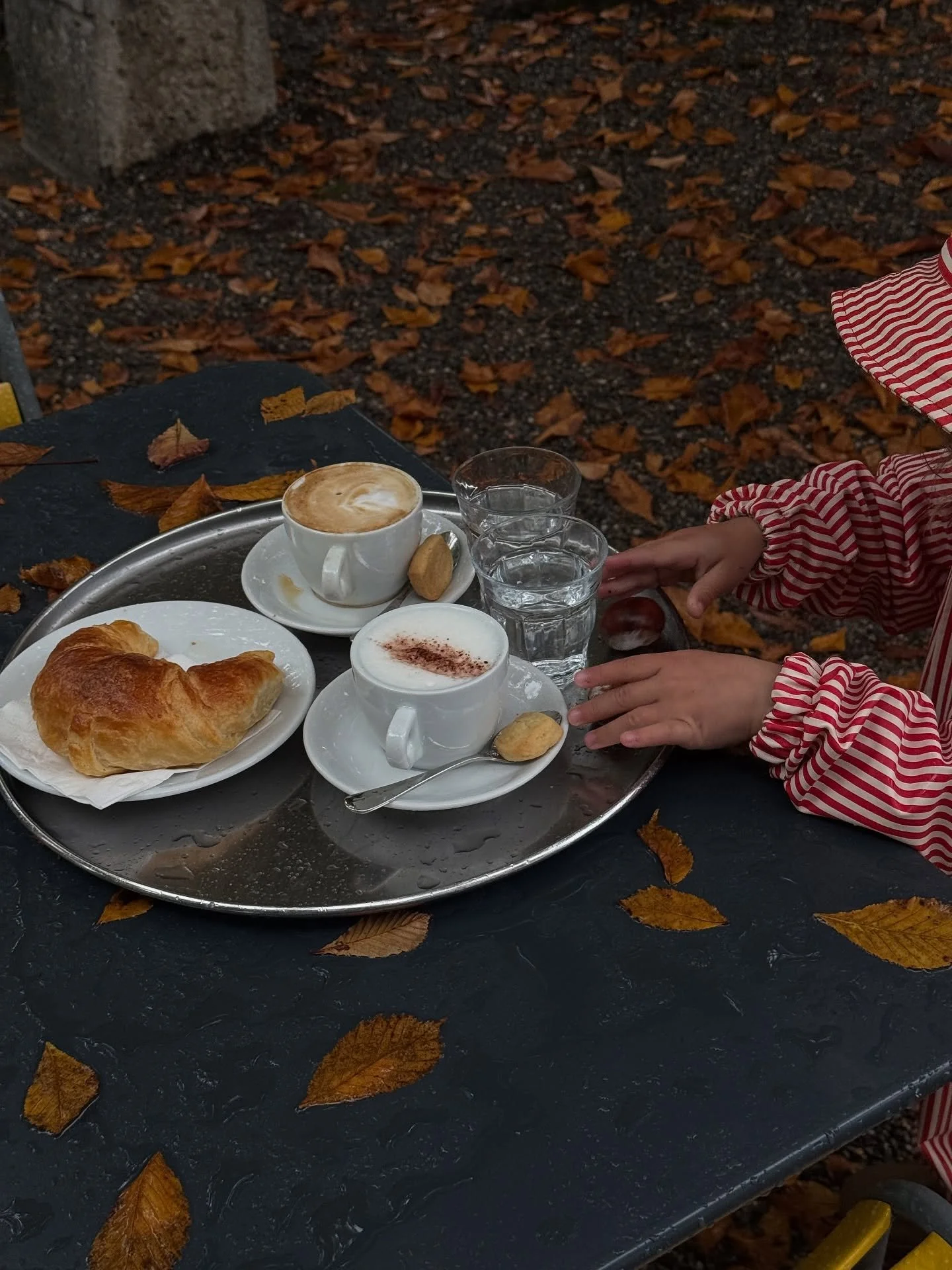 Herbst-Handyfotos 🍄&zwj;🟫🍂 🇲🇦⛰️

1: Kaffee, Regenwetter &amp; Kastanien &hellip; und nichts ist s&uuml;sser als Kinder in Regenkleidung. 🥰
2: Unsere ersten Steinpilze! 
3-6: Herbstferien Teil 1: Surfen, Esel streicheln und Seele baumeln lassen.