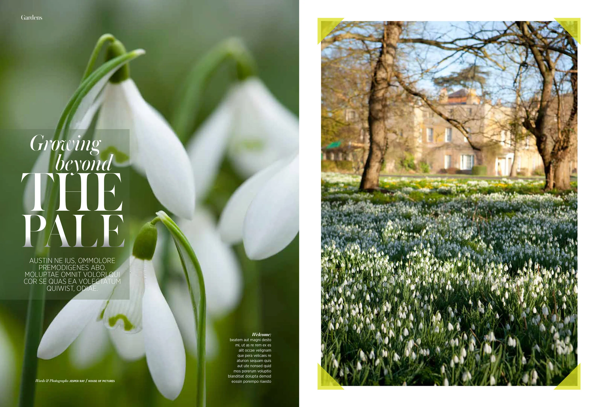Pages from Gardens.jpg