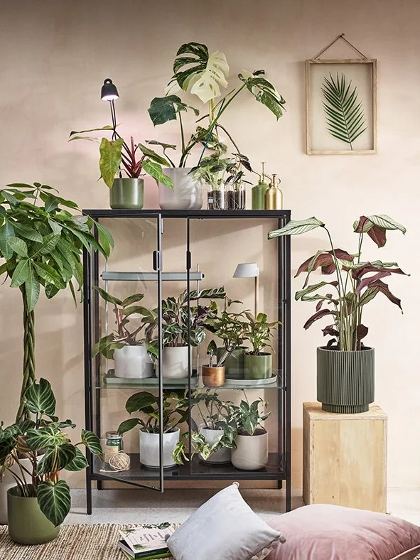 RARE_PLANT_APOTHECARY_031_sRGB.jpg