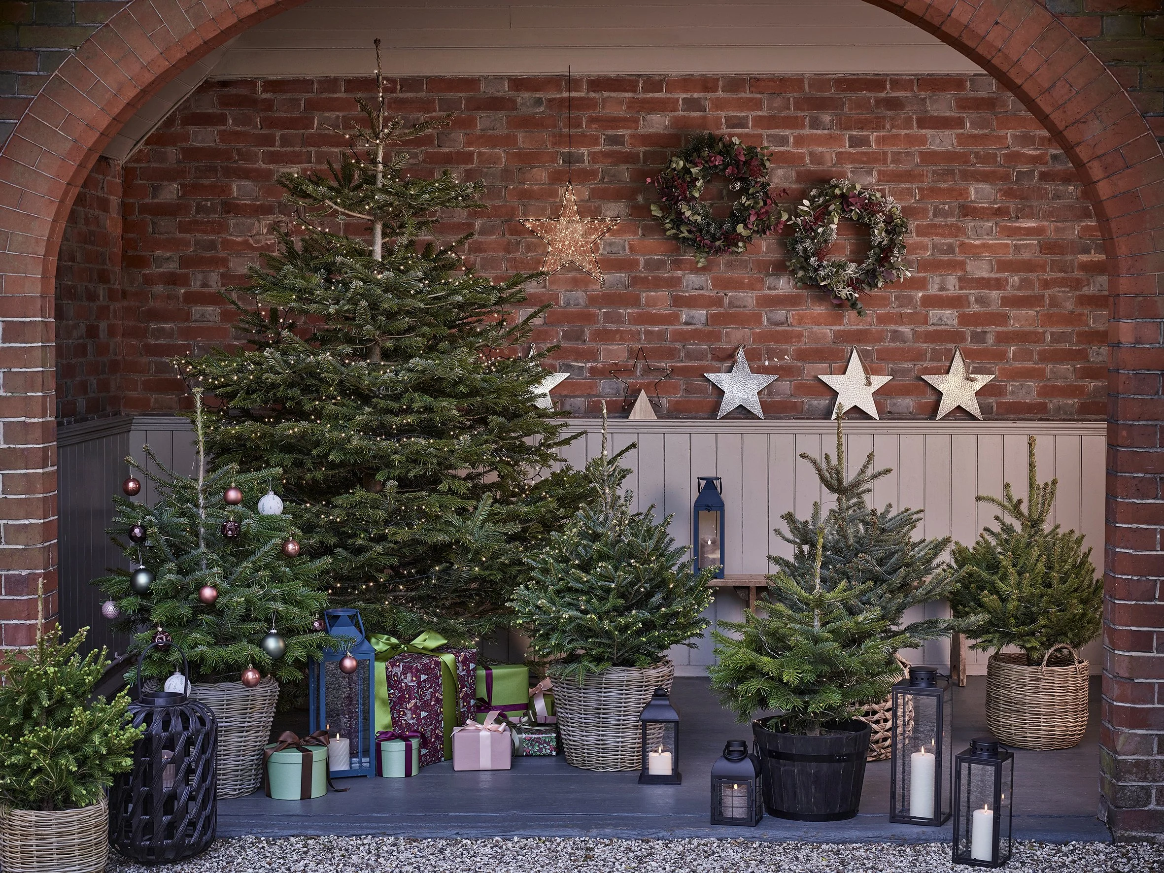 COSY XMAS-OUTDOOR POTTED TREES_339_sRGB copy.jpg