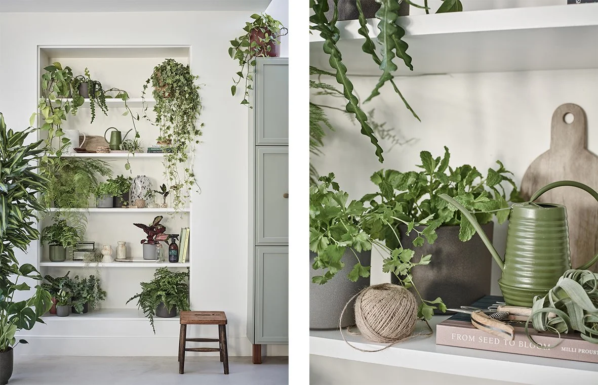 SS23 SHELVES.jpg