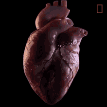 Heart.gif
