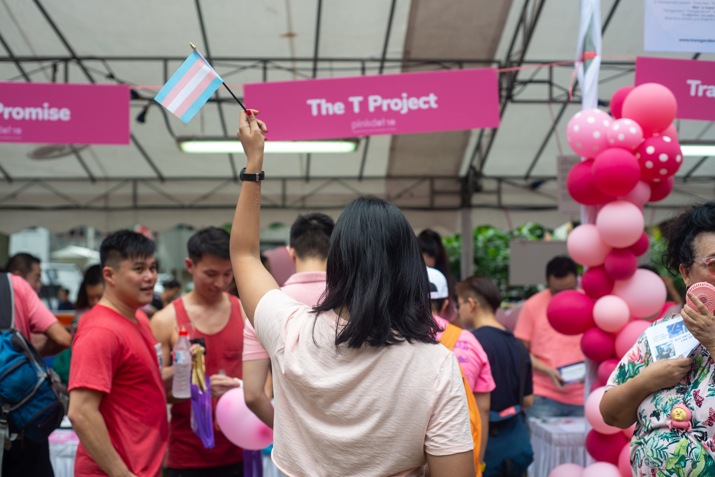 TProject-Pinkdot-5152.jpg