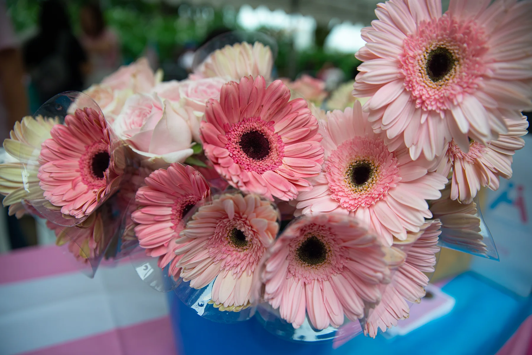 PinkDot-2019-9040.jpg