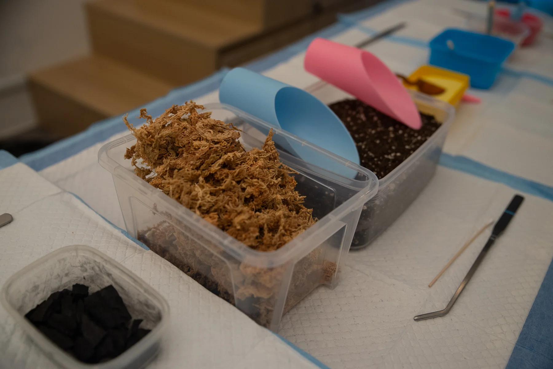 Terrarium-Workshop-9568.jpg