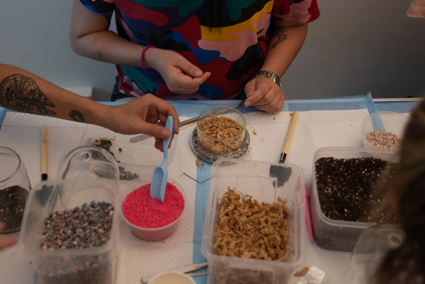 Terrarium-Workshop-9618.jpg