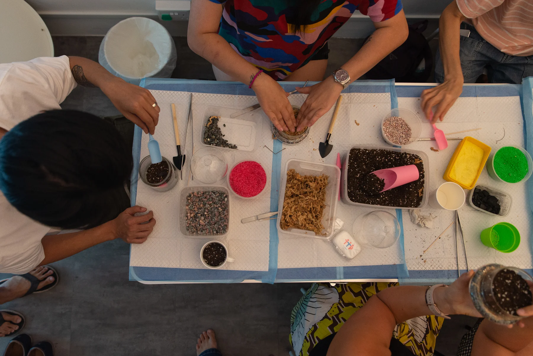 Terrarium-Workshop-9624.jpg