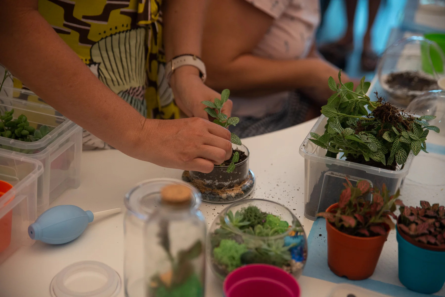 Terrarium-Workshop-9632.jpg