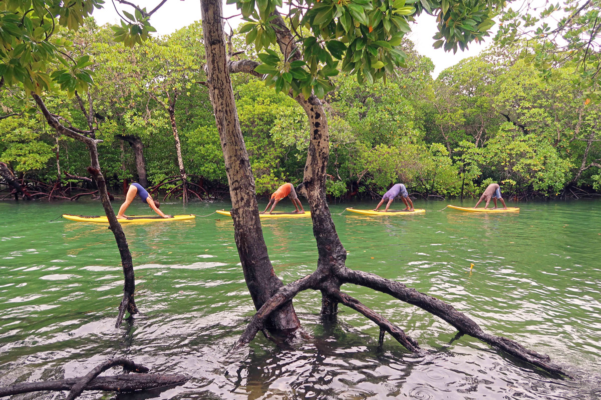 GRADED-WEB-yogaoutside_009.jpg