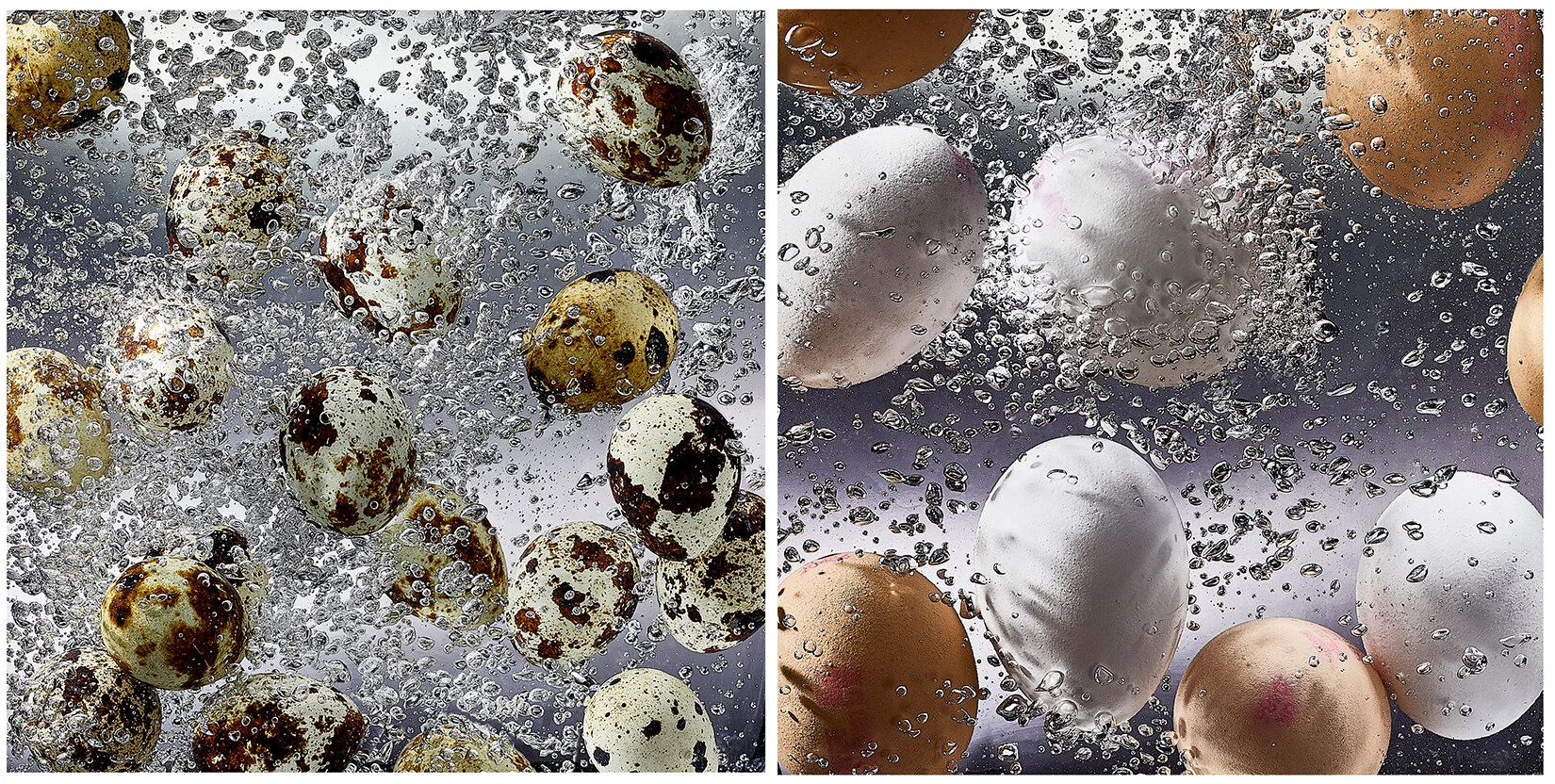 Boiling Eggs  Photographer Andy Parkington 