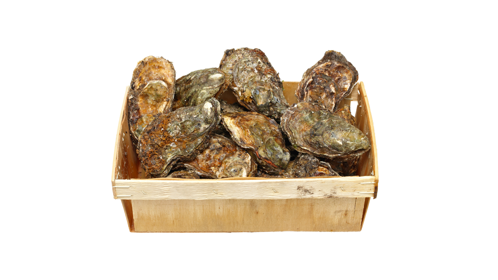 Huîtres - 2 douzaines