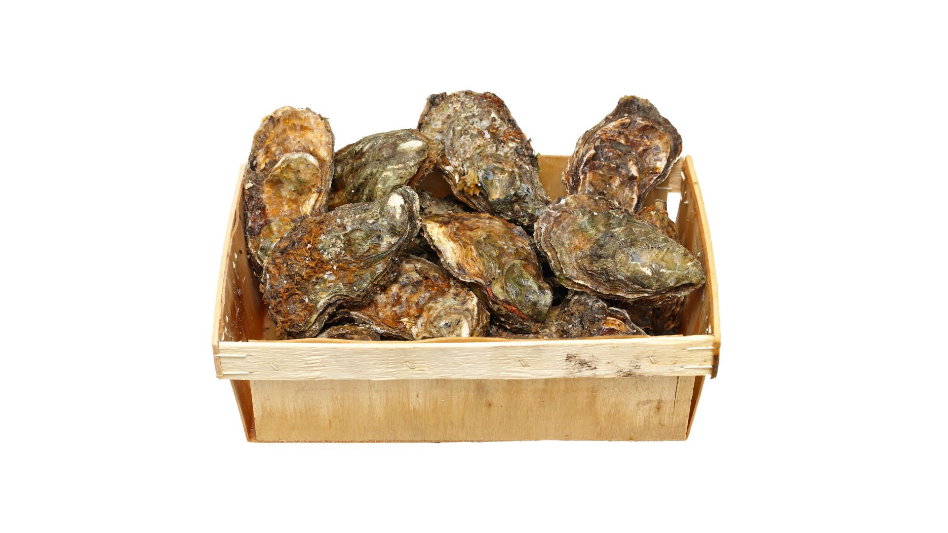 Huîtres - 4 douzaines