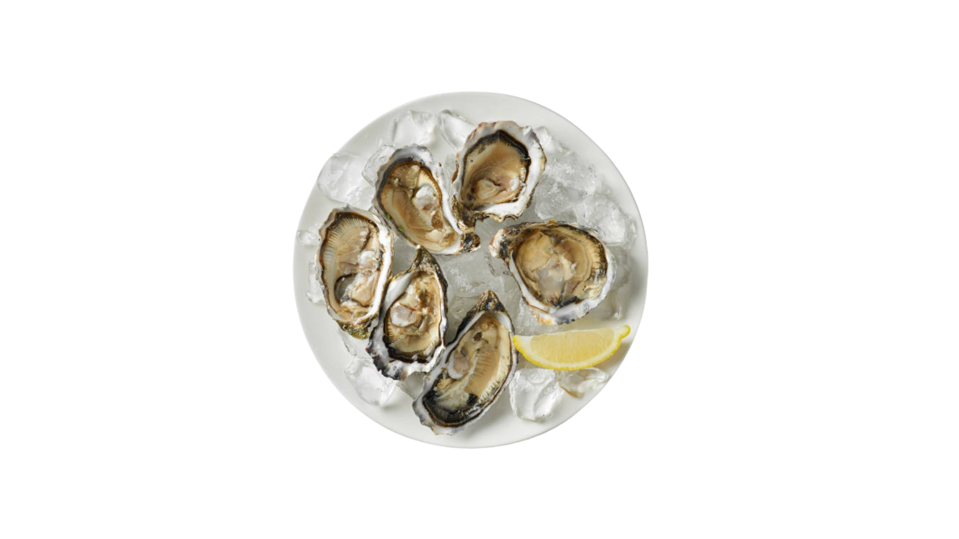 Dégustation d’Huîtres & Vin Blanc