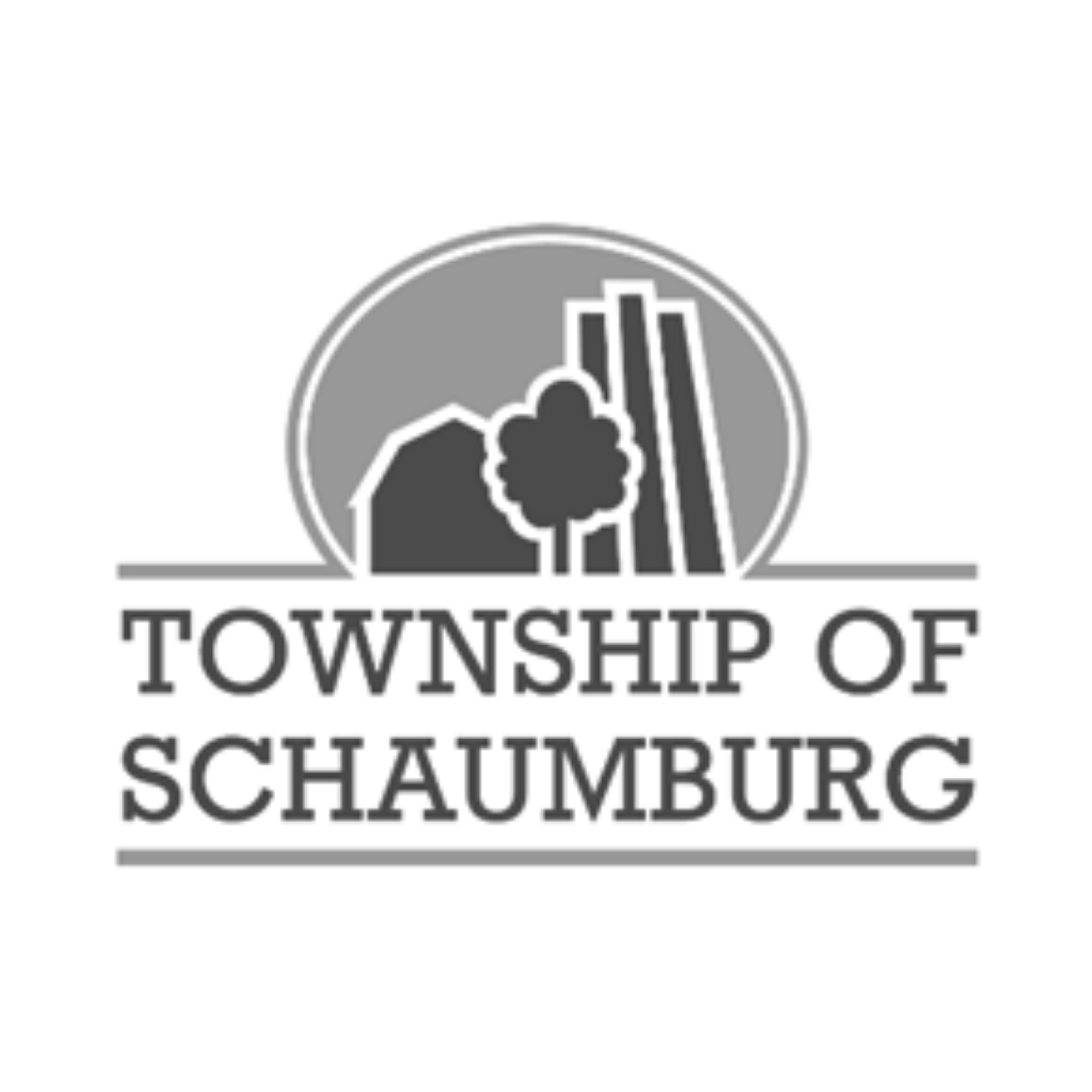 Township of Schaumburg.png