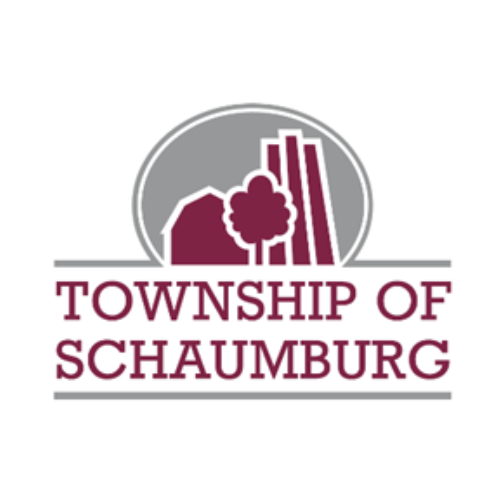 Township of Schaumburg.png
