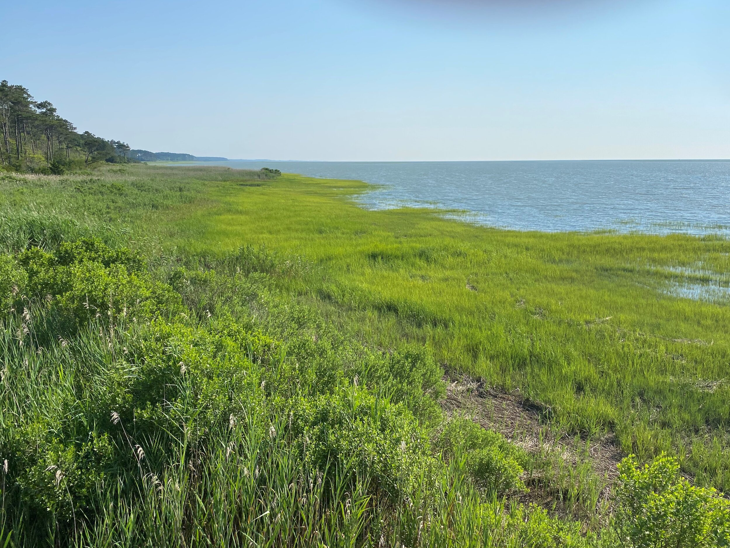 View from Seaside Walkway Platform