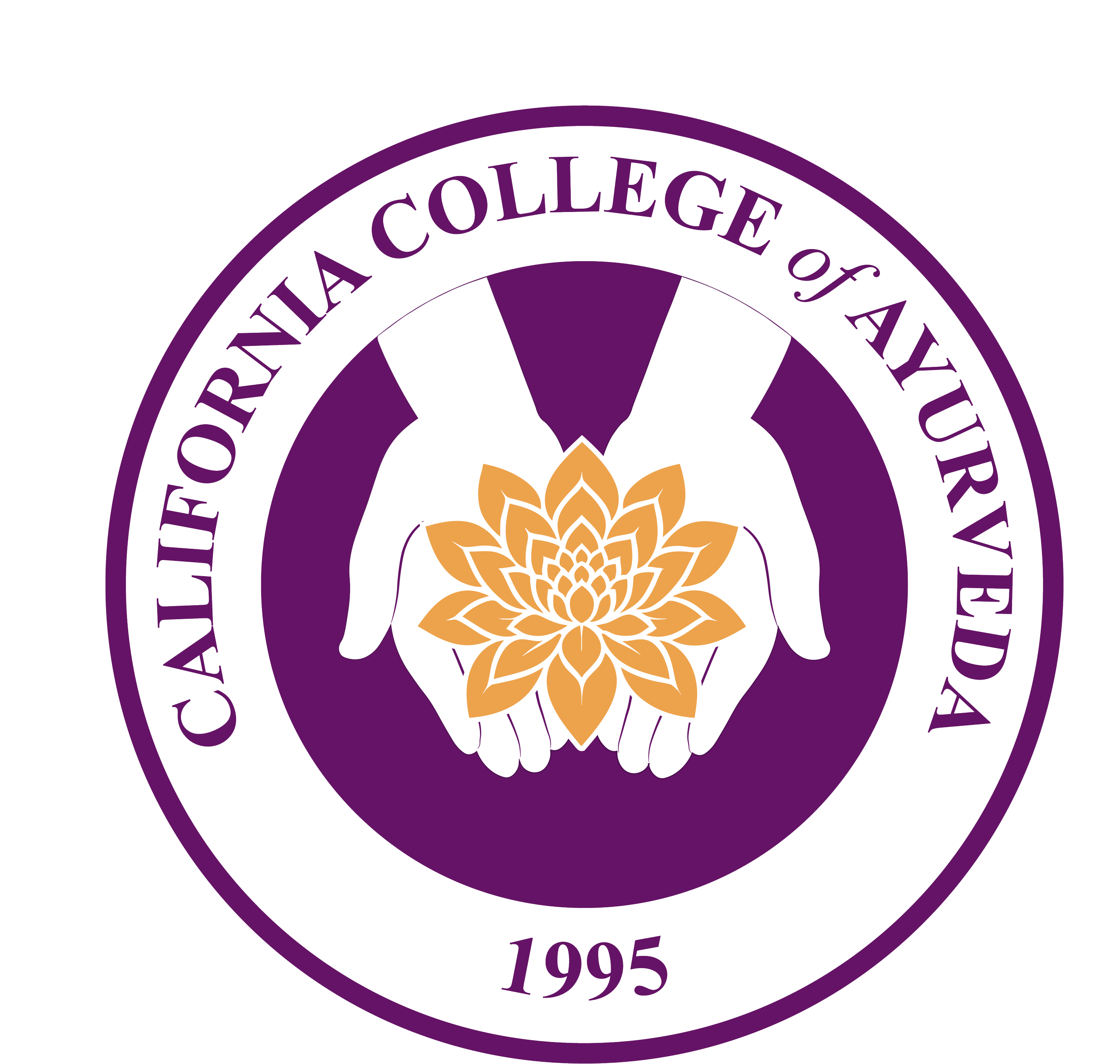 CCA New Logo (2).png