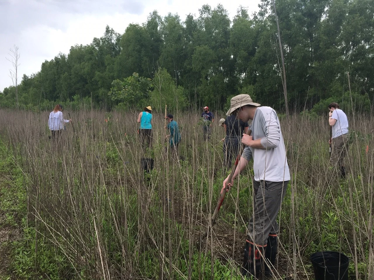 FS-3-Students-Planting-2.jpg