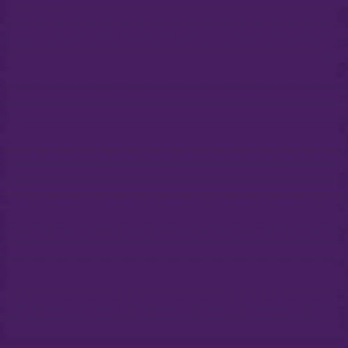 viola  1.jpg