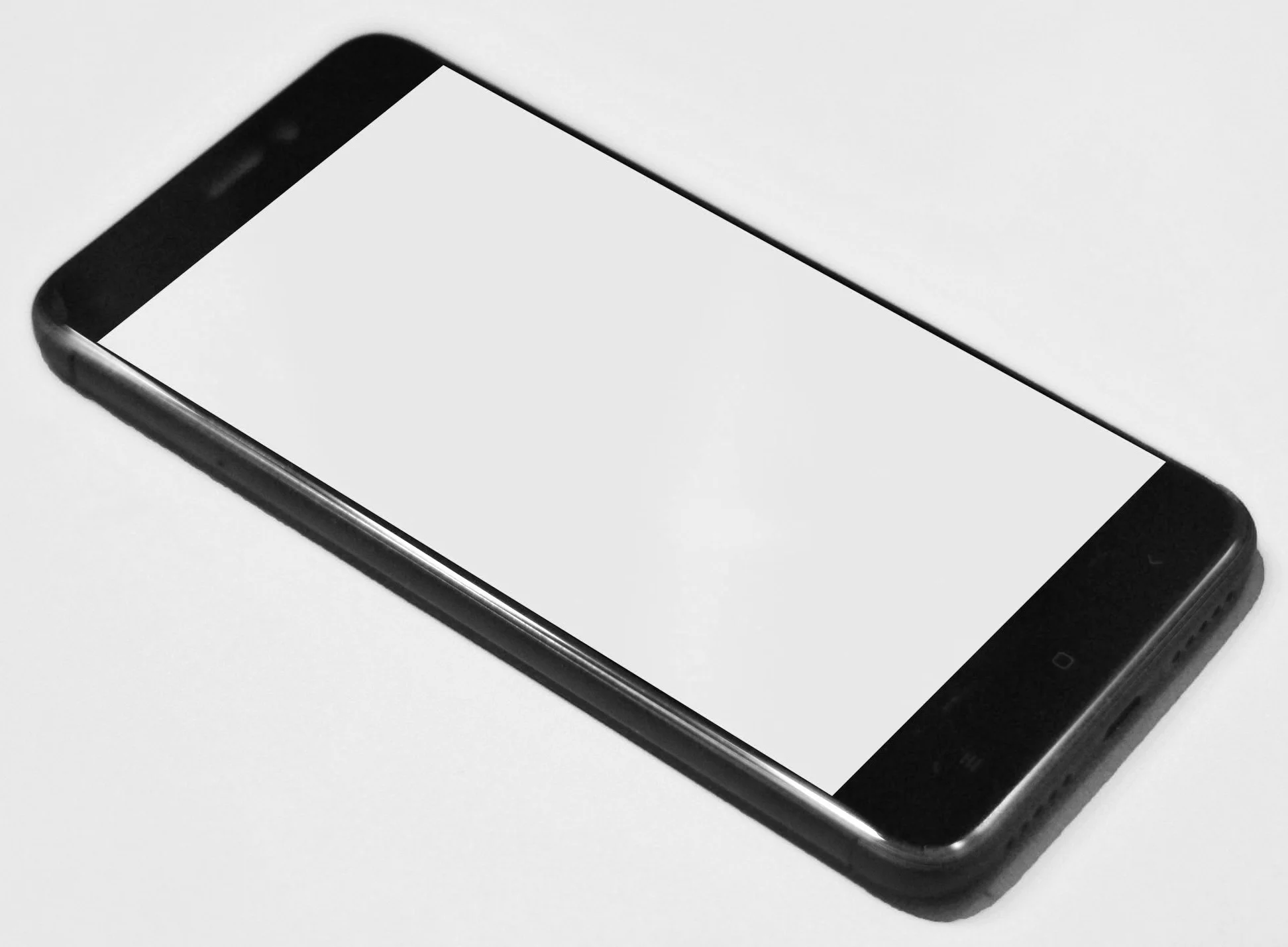 SMS Notifications