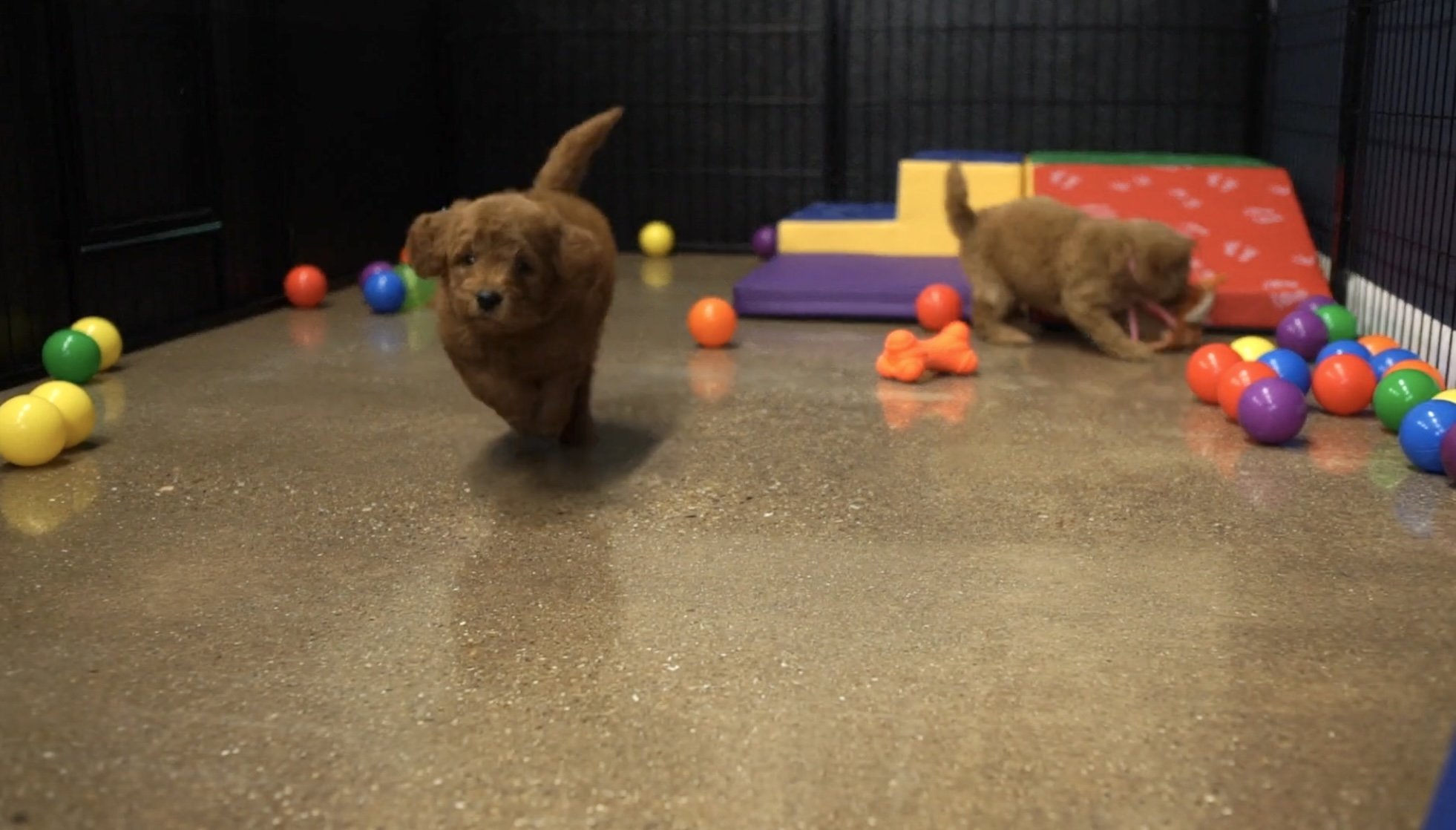 Indoor play area.