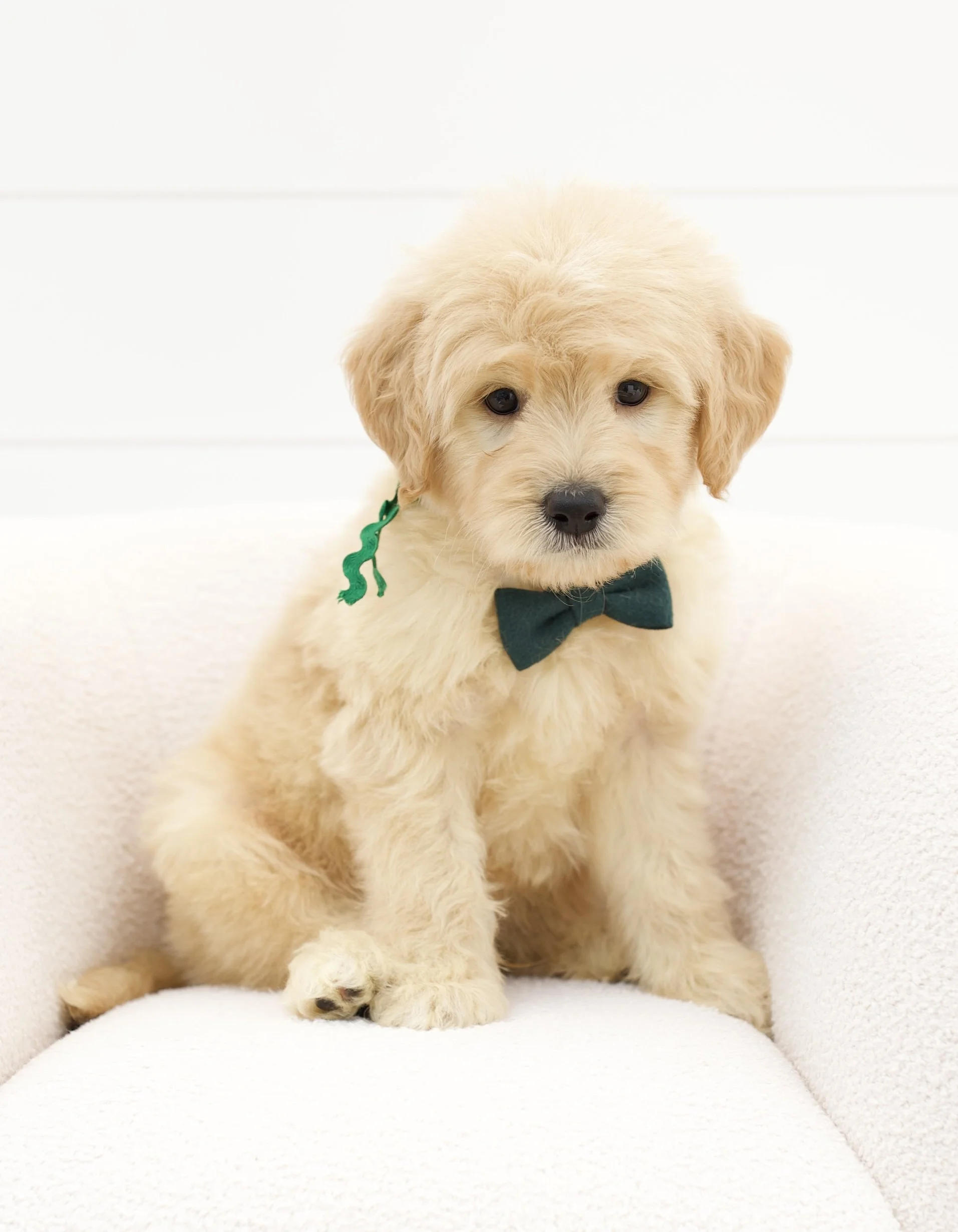 green ribbon - week 7
