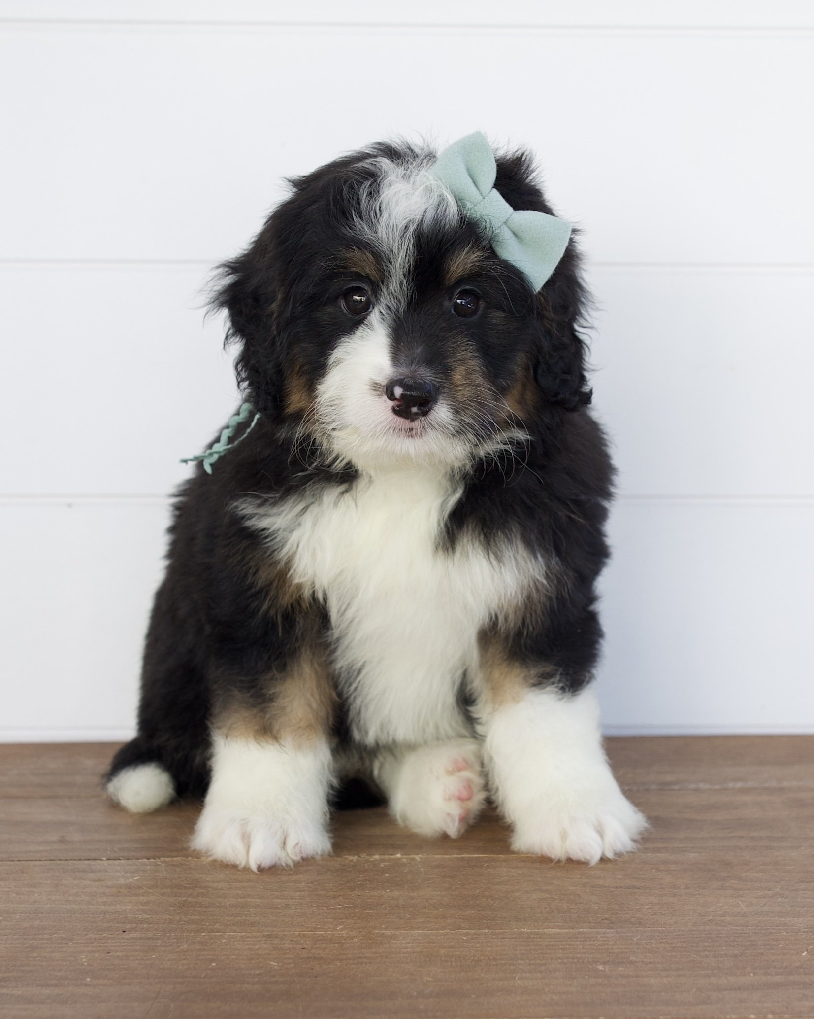 mint ribbon - week 7