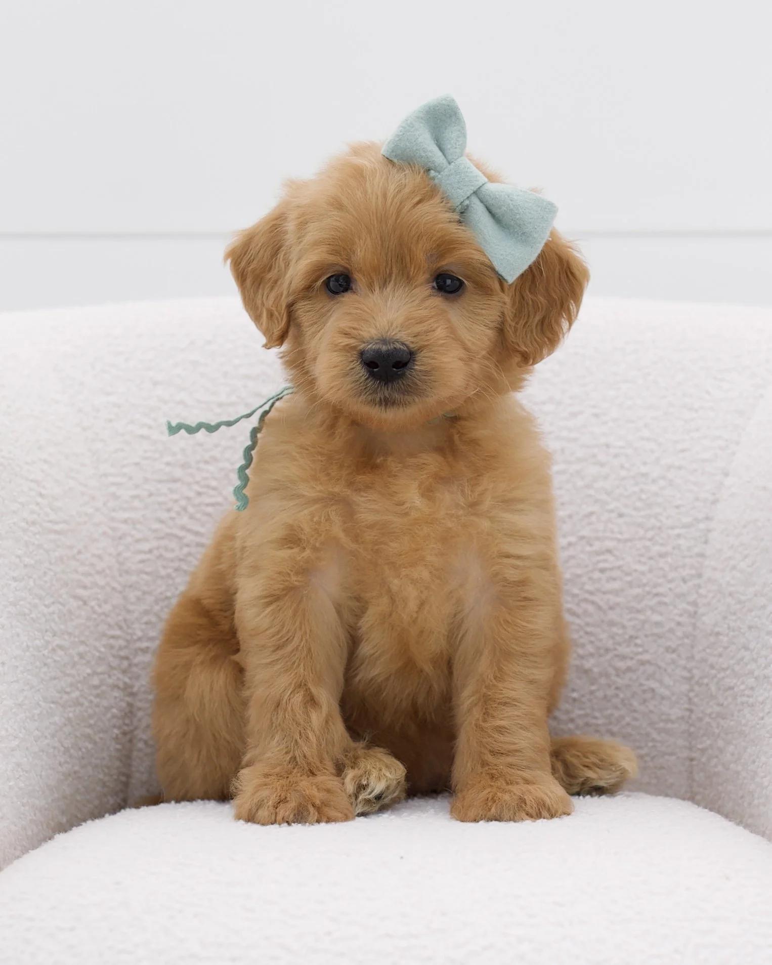mint ribbon - week 5