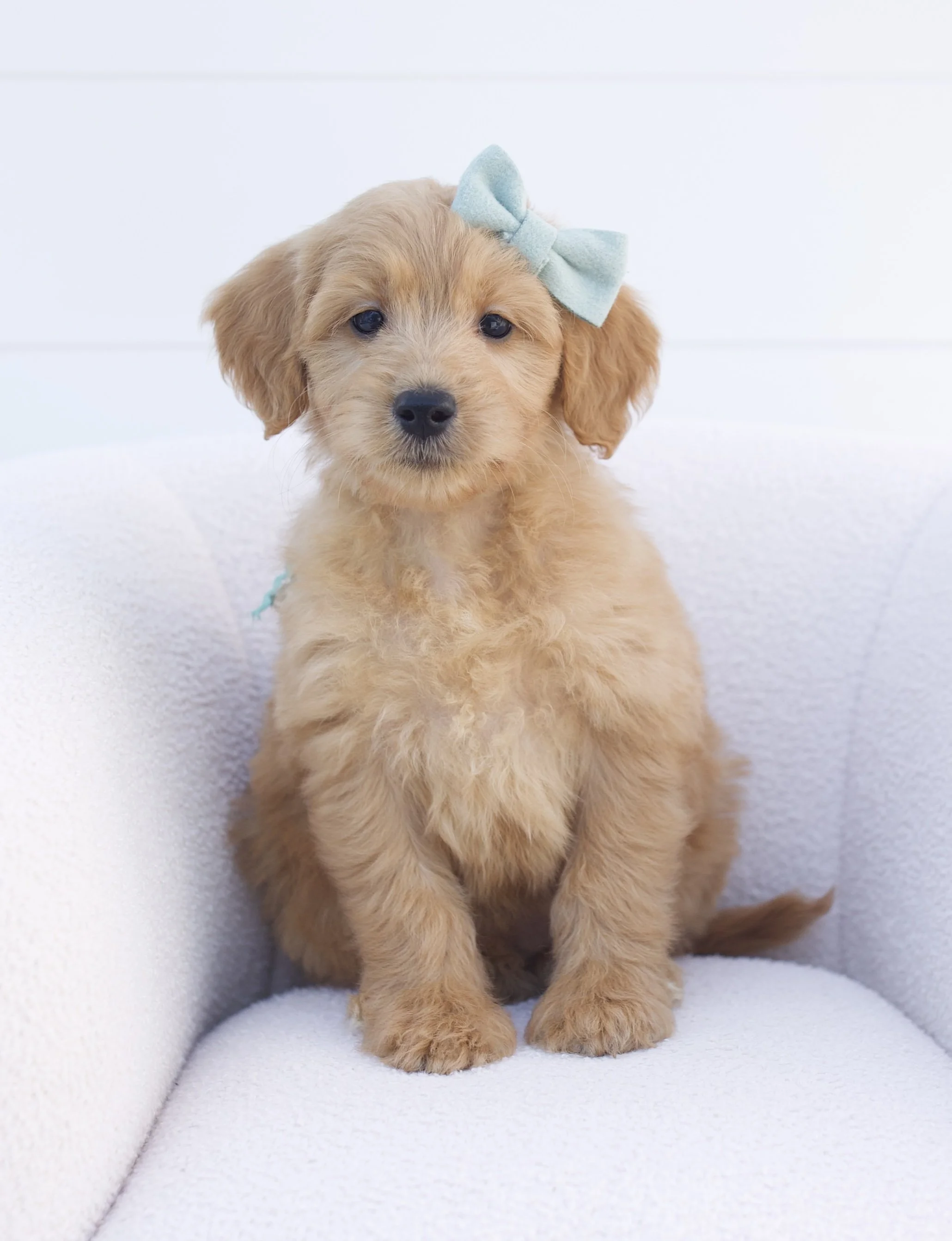 mint ribbon - week 7