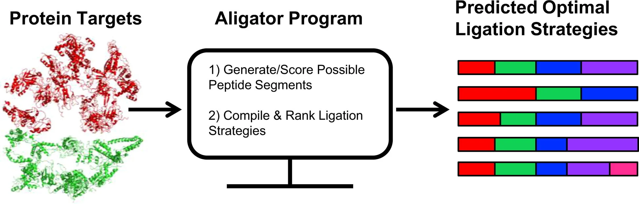 Aligator-graphical-abstract_Jacobsen-2017.jpg