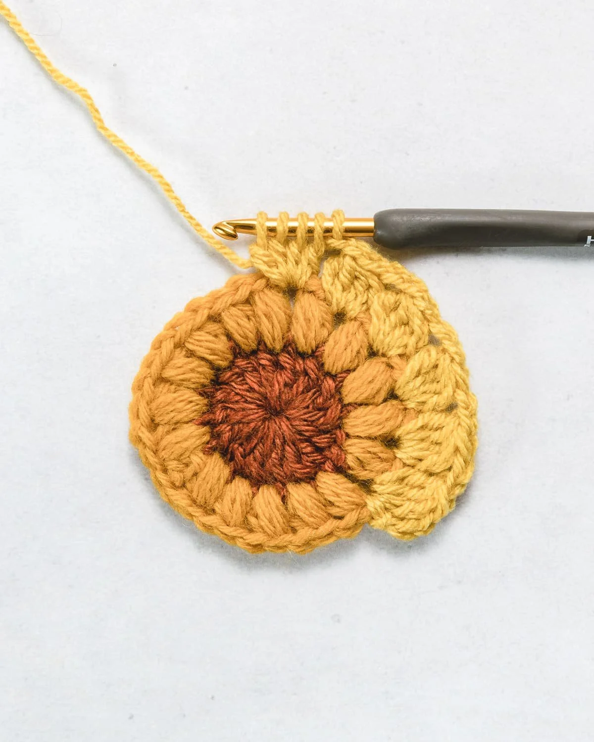 sunflower granny 3.jpg