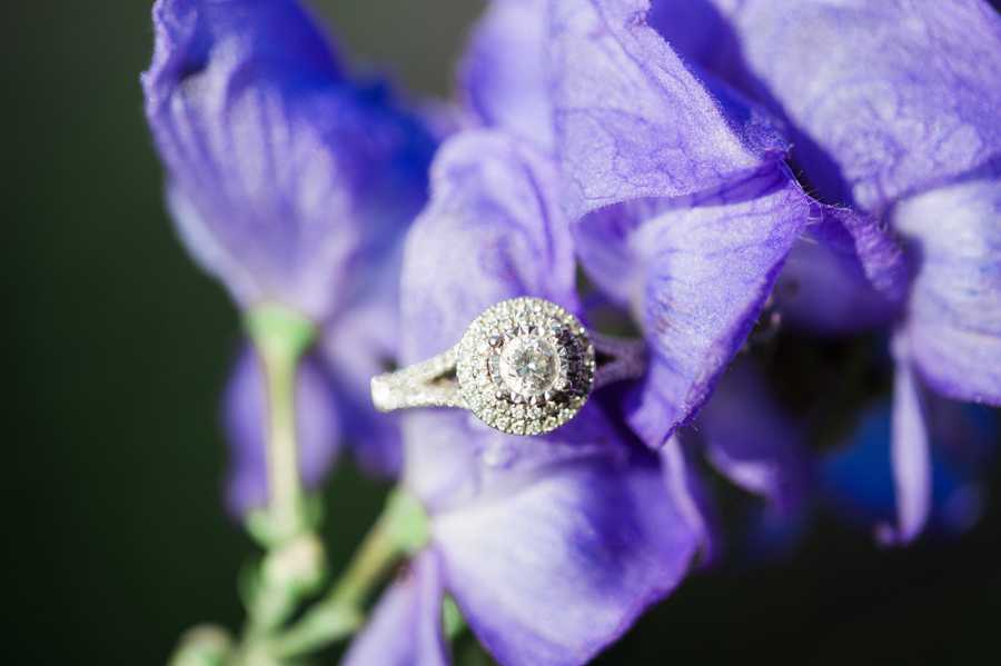 Indianapolis-Engagement-Session3.jpg