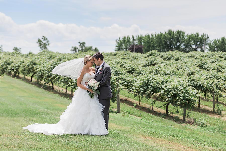 Blue Heron South Bend Wedding