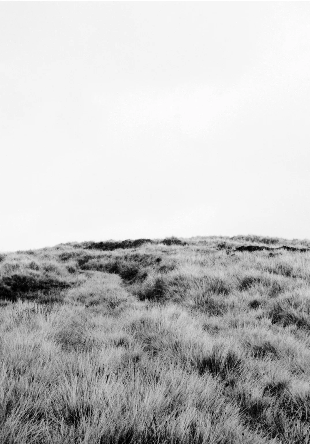The fog has lifted.jpg