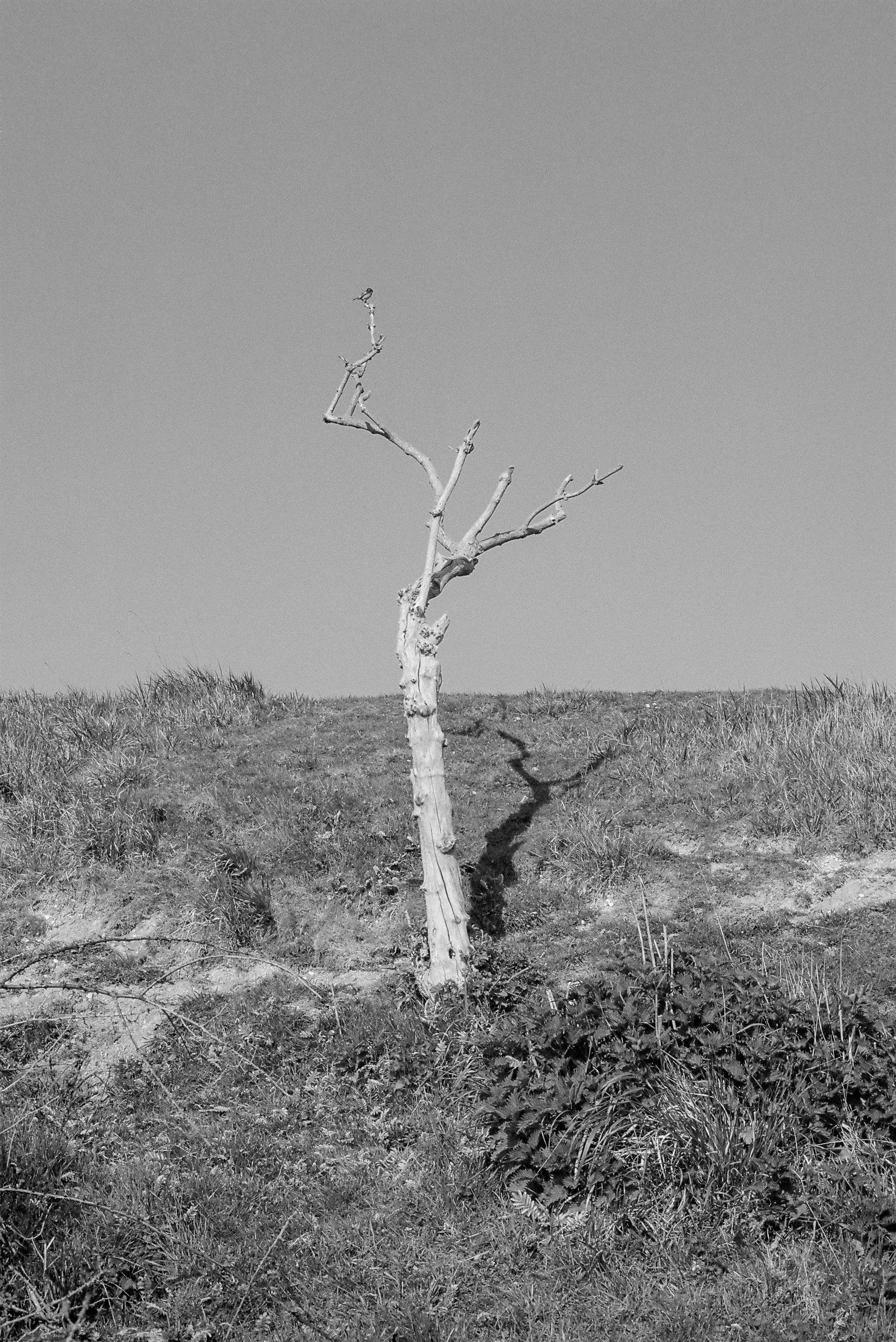 CNV00036 (2).jpg