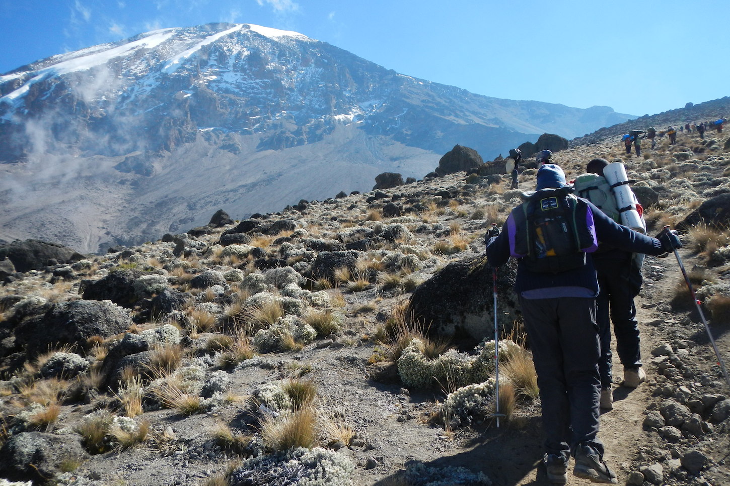 Kilimanjaro-1450.jpg
