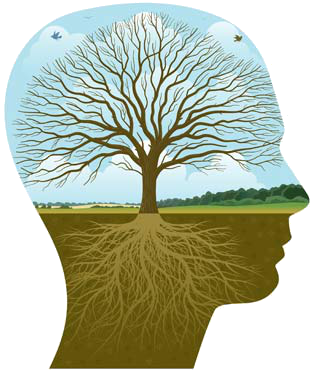 psychotherapy-image.png