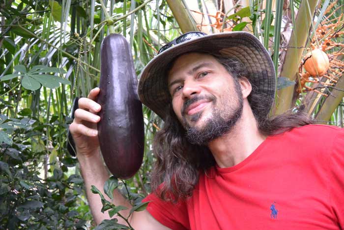 Here Patrick shows off a “dark chocolaty black” fruit of Sicana odorifera , the so called “Casabanana”. This unusual landrace was discovered in the province of Central Panama. We were a month or so too early so this fruit was not yet ripe. When they are ripe they are beautifully fragrant and can easily “perfume” a large house. In many parts of Central and South America the fruits are used exactly for that reason. This vigorously vining plant should grow and produce well in almost any place with over 7 months of warm/mild weather. The plants surprisingly can take a small amount of frosts without harm.