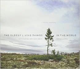 bk%20the%20oldest%20living%20things%20in%20the%20world.jpg