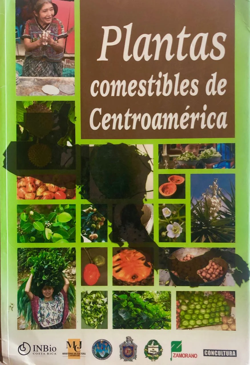 Plantas Comestibles de Centroamerica