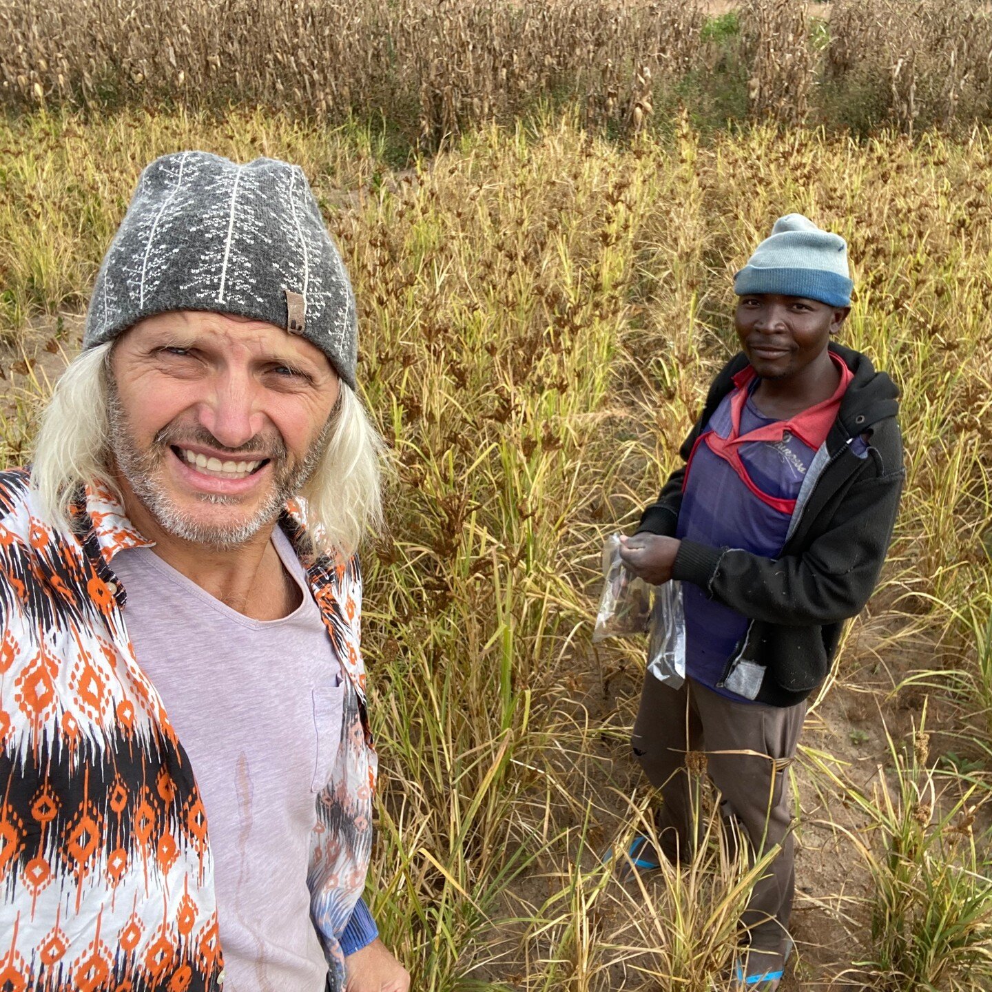 Zambia and its people are indelibly marked in my heart. here I collect seeds of a finger millet with Zachary Mombu. Grains which have fed the people of Africa for millenia are still relatively ignored by a lot of the world. Finger millet is well used