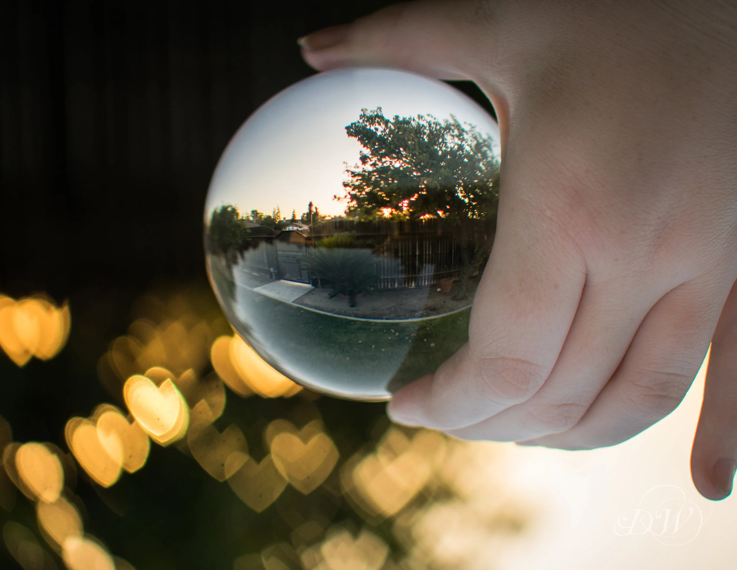 Final Print version (1 of 1)-3.JPG