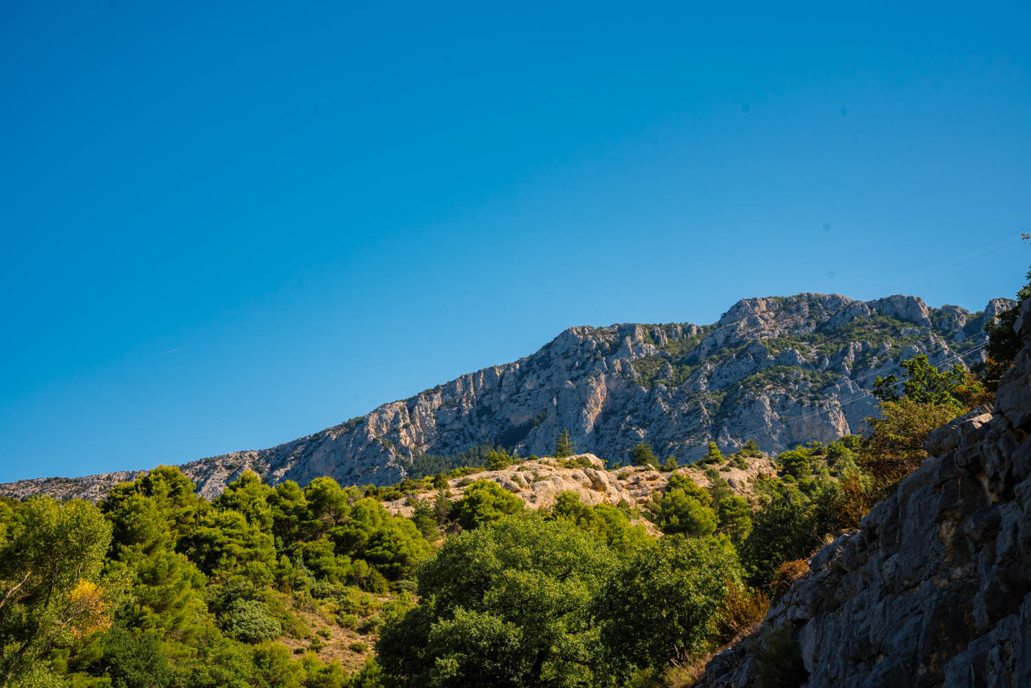 DSC_2169.jpg
