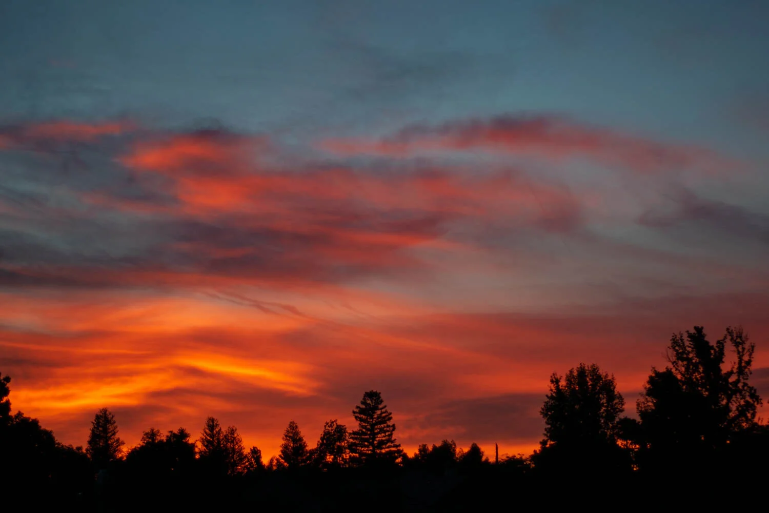 DSC_0068.jpg