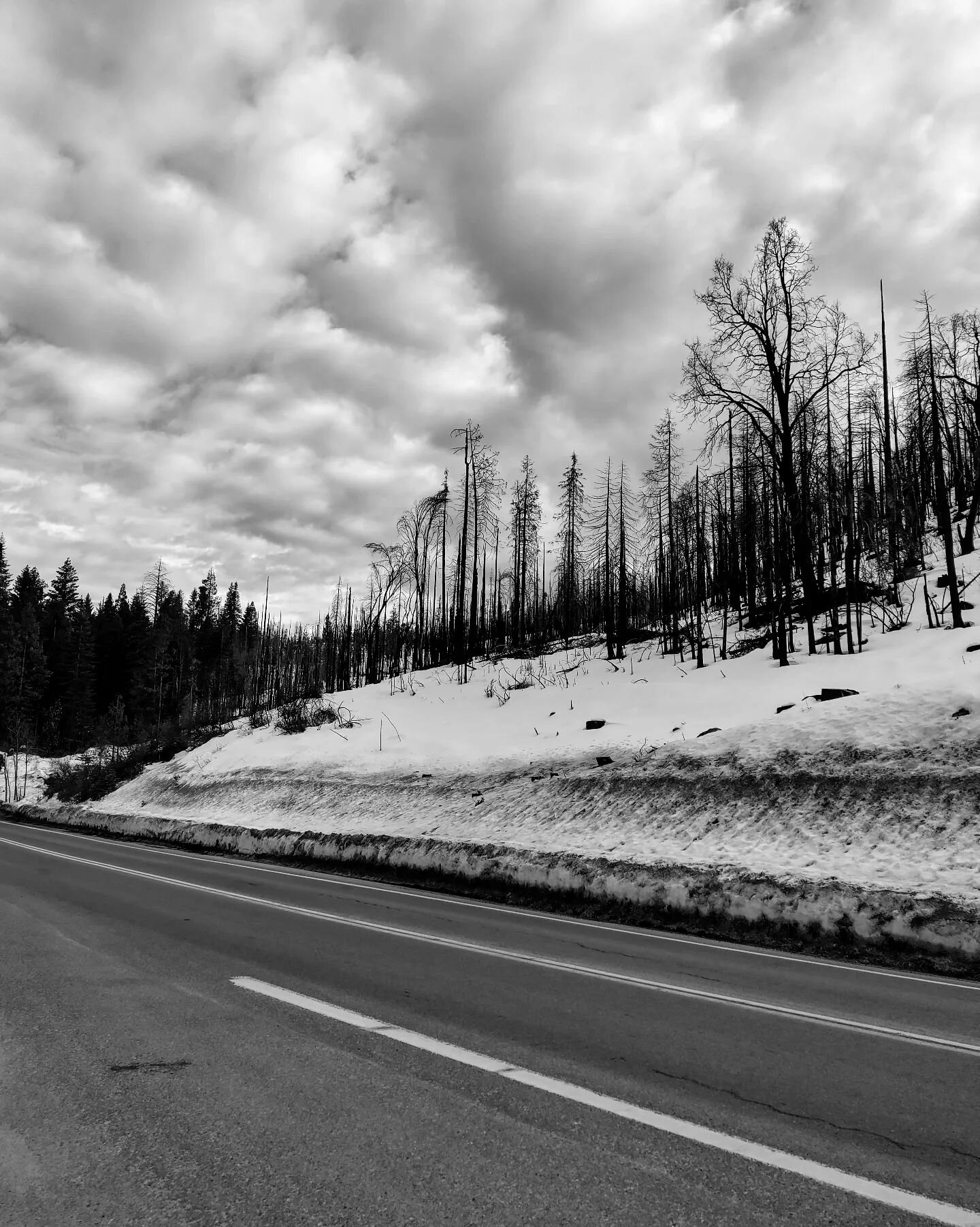 Contrast. 
.
.
.
.
#blackandwhite #cloud #sky #snow #black_and_white #monochrome #cloud #clouds #cloudy #snow #snowfall #sky #skyphotography #fire #socal #winter #burn #aftermath #beautiful