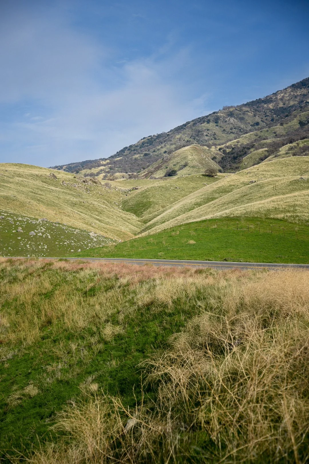 DSC_4349.jpg