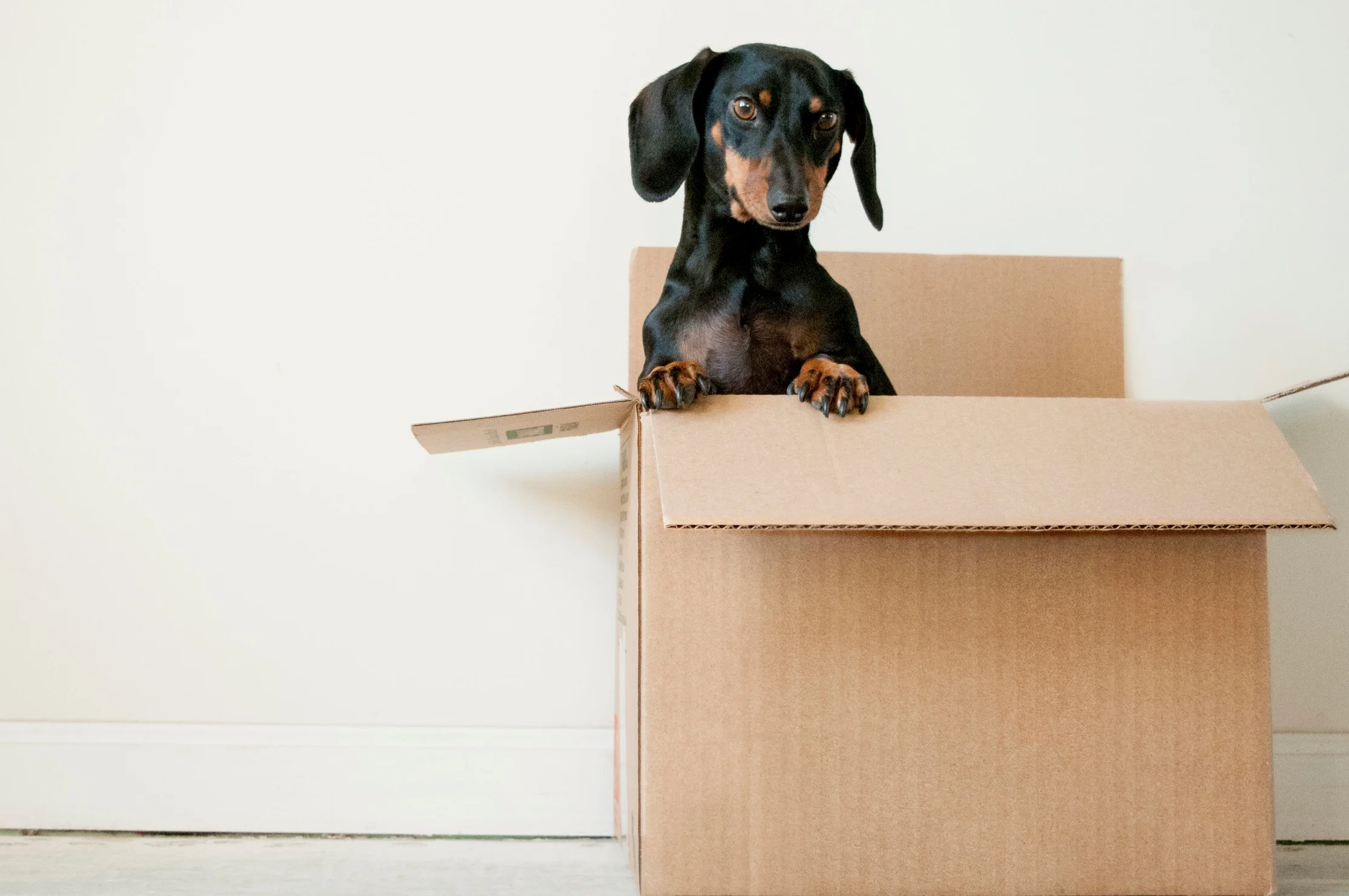 5 great tips for packing your home for a successful move