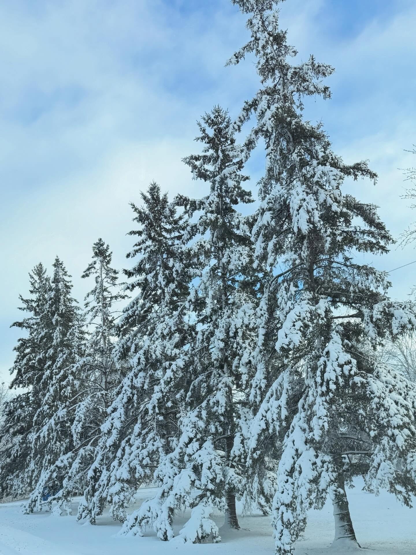 As a Minnesotan, my heart feels heavy today.

There is real pain, fear, anger, and heartbreak being carried by so many people right now, and it deserves to be acknowledged.

On this day honoring Martin Luther King Jr., I&rsquo;m holding space for bot